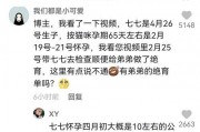 娱乐吃瓜君和七七铲屎官,揭秘娱乐圈与宠物界的趣味故事
